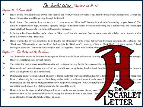 chapter 13 scarlet letter summary